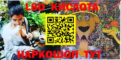 гидропоника Краснодар