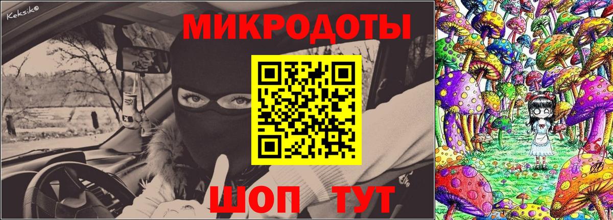 Псилоцибиновые грибы Cubensis  Вход с VPN  Клин 